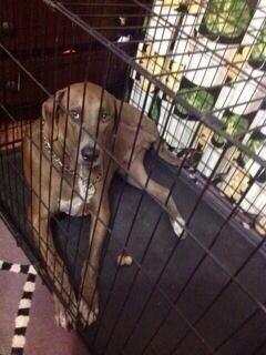 pierce451's tweet image. Happy New Year to you