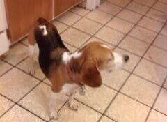 pierce451's tweet image. Happy New Year to you