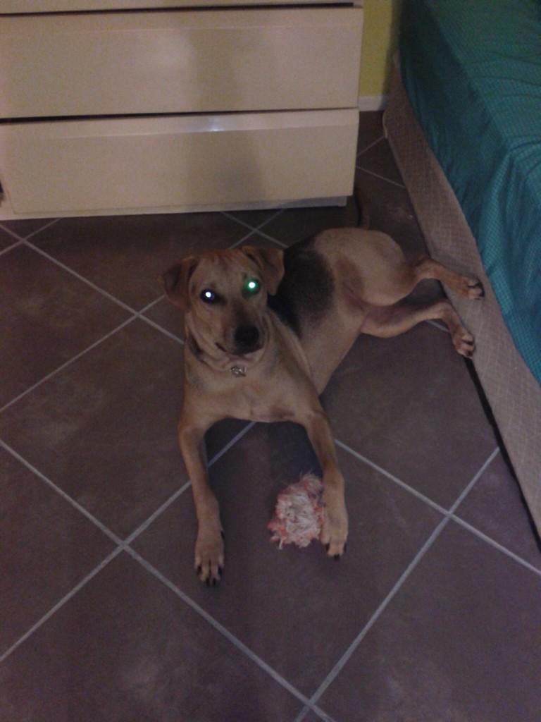 pierce451's tweet image. Happy New Year to you