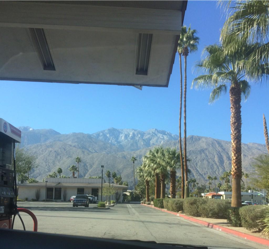 Hello_Emilee23's tweet photo. Bye for now Palm Springs 👋 ... See you in a couple hours LA! http://t.co/lMTNT9M5nS