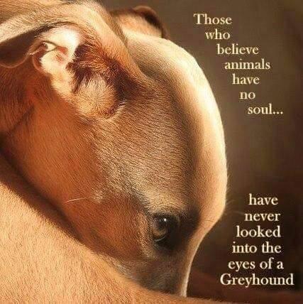 LyndaEvans tweet media