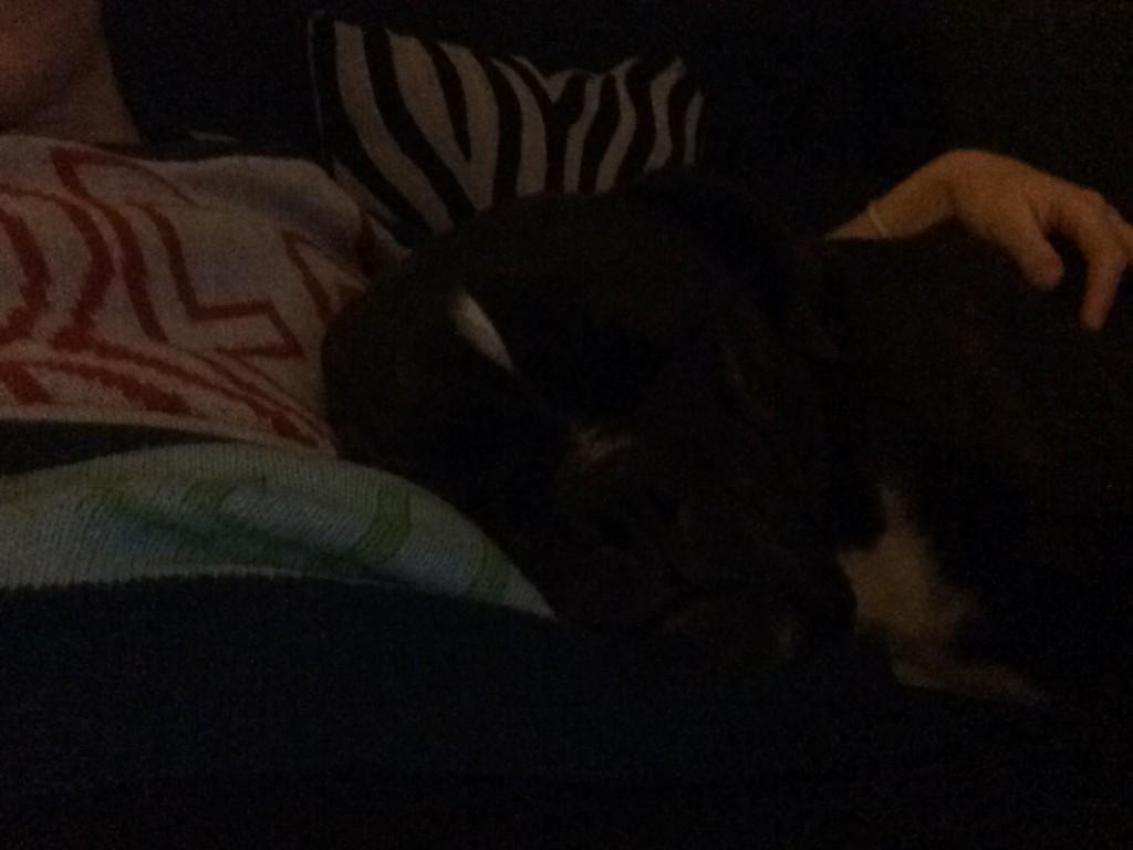 AnaSezdeMora's tweet photo. El lado bueno de las cosas con @_alvaromuoz y Otto 😊 http://t.co/KOqNNlQTiw