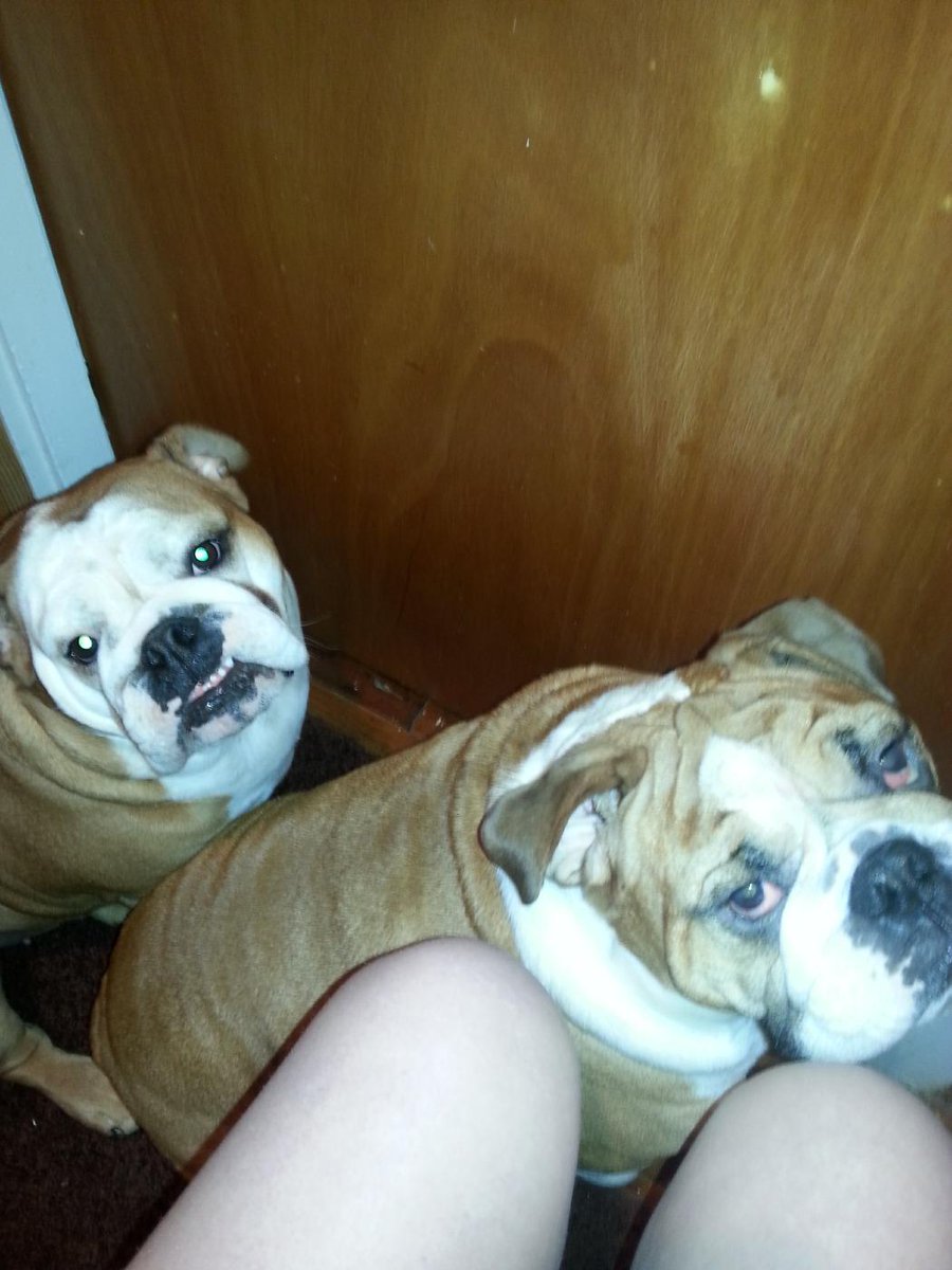 BucketSock's tweet photo. #takingaspieg #spieg @JoshSpiegel #moralsupport #potty I'm there for them http://t.co/WnIjFzkEnN