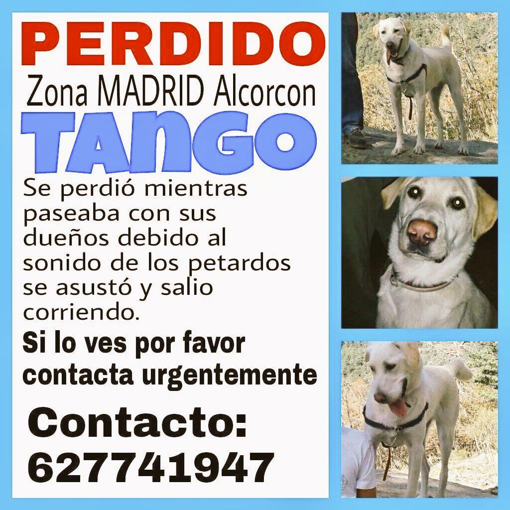 Hardcorcón tweet media