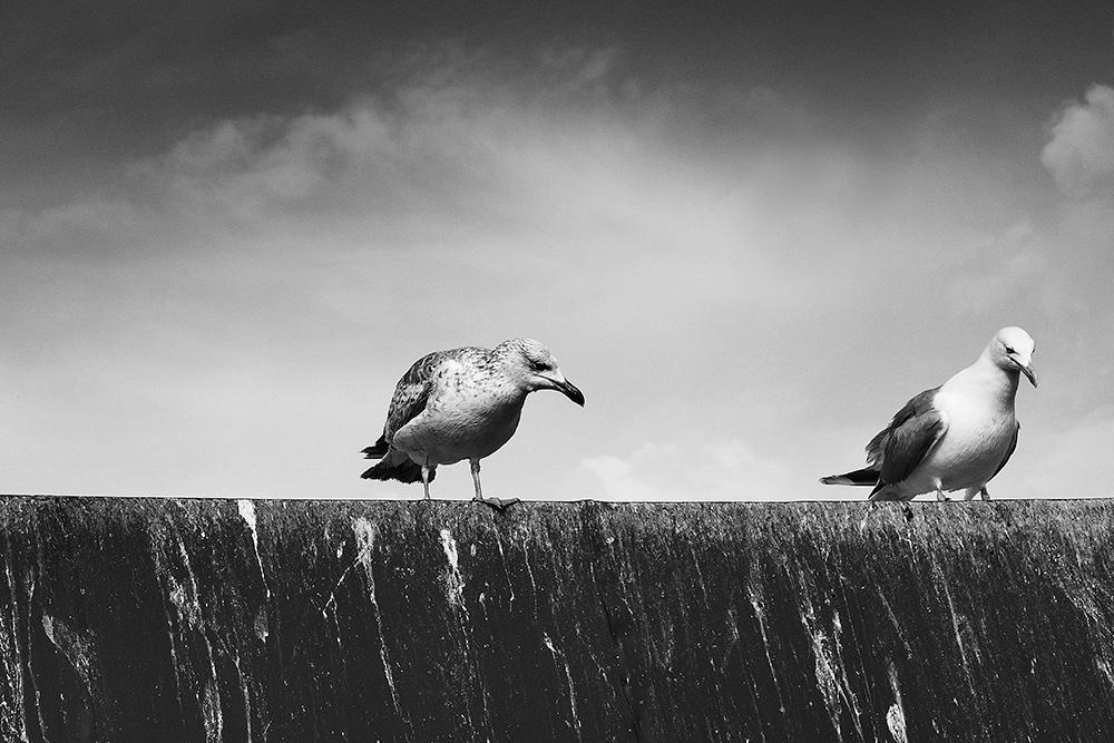 Karaköy'deki balıkçıların orada saatlerimi harcadım ama değdi sanıyorum :)