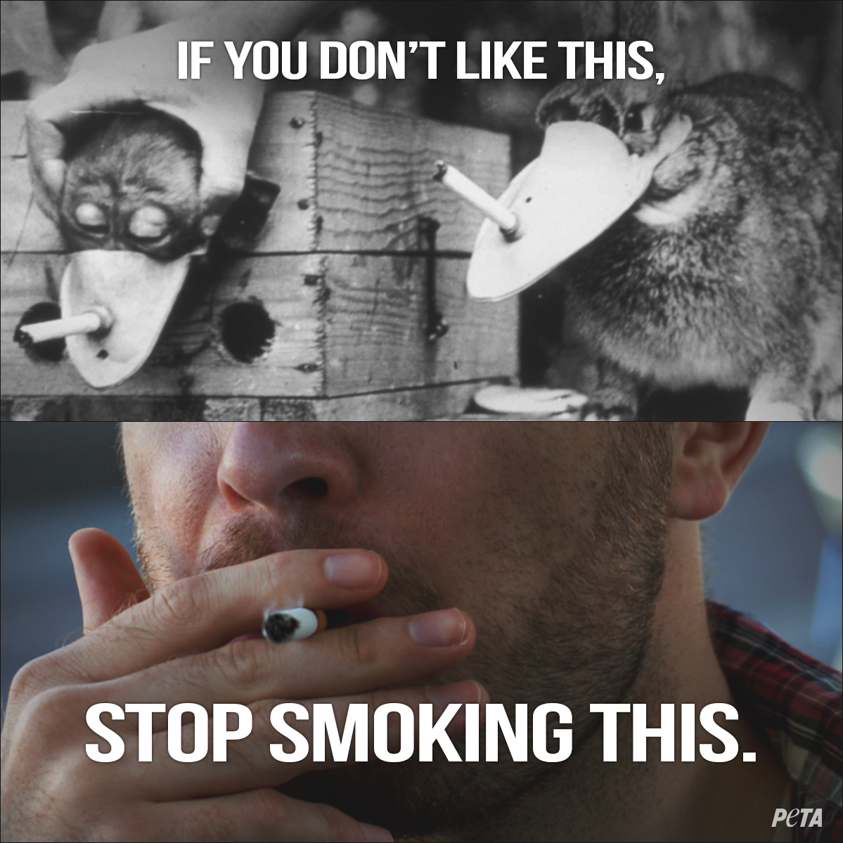bbq smoke vs cigarette smoke Grilling vs. Smoking Meat: What's the Difference and Which Is Better?