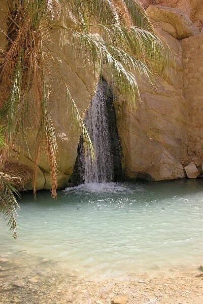 Оазис черниговка. Ассир черниговка абхазия. Прохладный. Оазис черниговка. Оазис кабардинка.