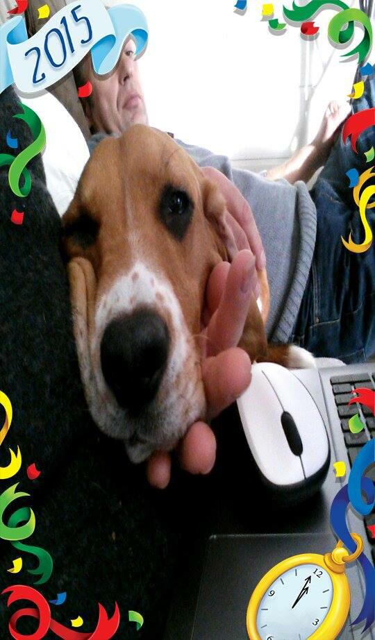 Happy new(ooohhhh) year!