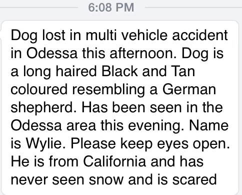 A pet has gone missing in the 401 at Odessa chaos today. If you see it, please advise. Info attached. Thanks!