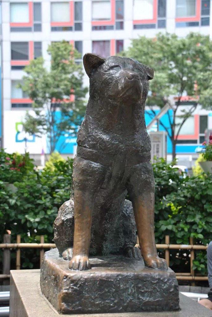 GinaTost's tweet photo. Terminar el primer día del año llorando con la peli de Hachiko. Este 2015 empieza mal 😭 http://t.co/NfvrlHapz7