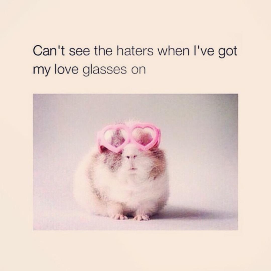 ShannenCody's tweet photo. Ya know #januaryfeeling http://t.co/zURAbHWWNP