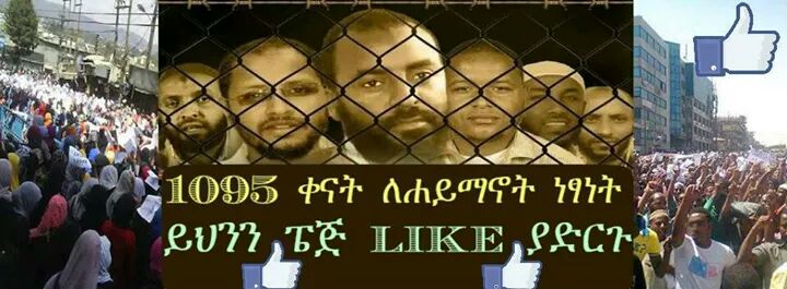 11222049abdula's tweet image. 