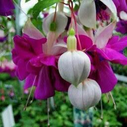 11222049abdula's tweet image. 
