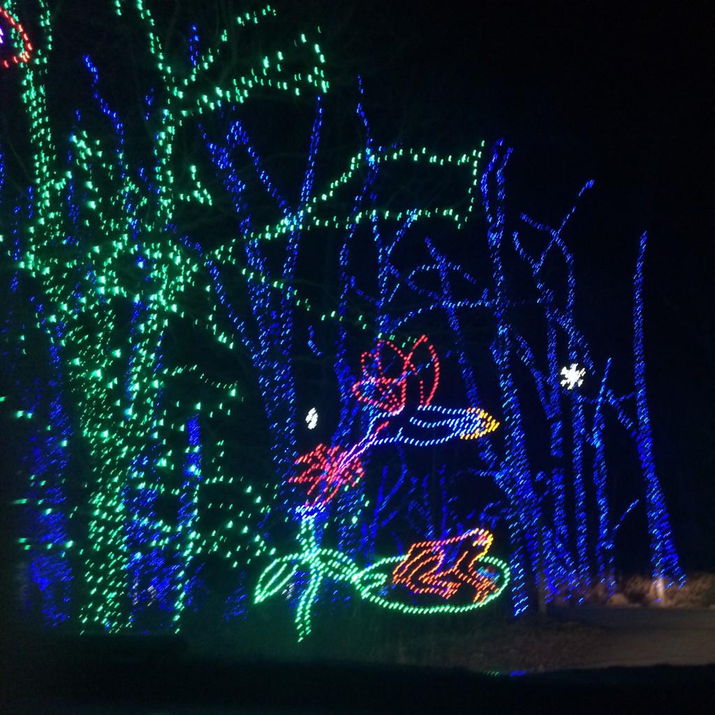 HillaryMoonay's tweet photo. Love the @ShadyBrookFarm light show!! Better every year! http://t.co/ha556IkCsg