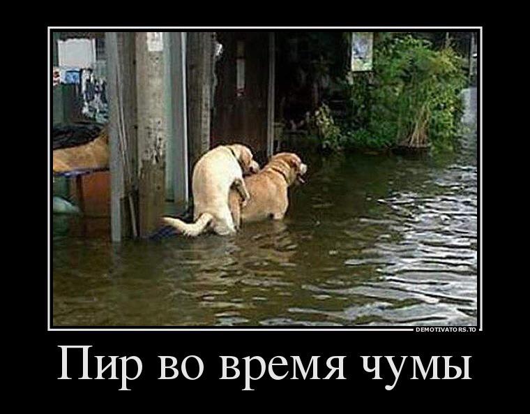 dannylesnik's tweet photo. Рассмехуй [Демотиваторы] http://t.co/jSAWLWkAOT http://t.co/nLPl2Gl7SK