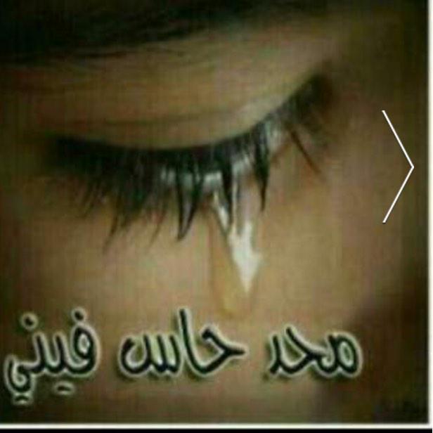 موجب جاد كتوم شنب (@aboshanb2242) on Twitter photo 