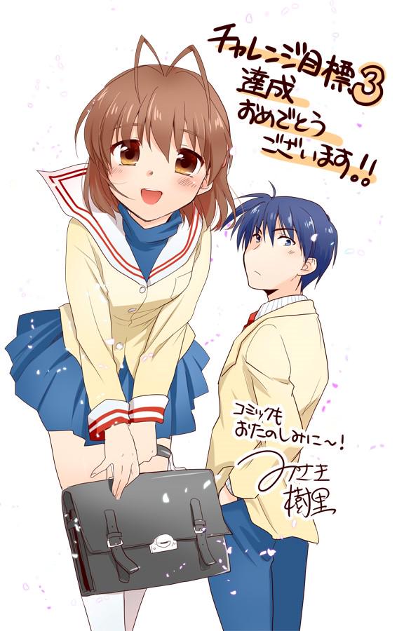 Txertatutako irudiaren behin betiko esteka