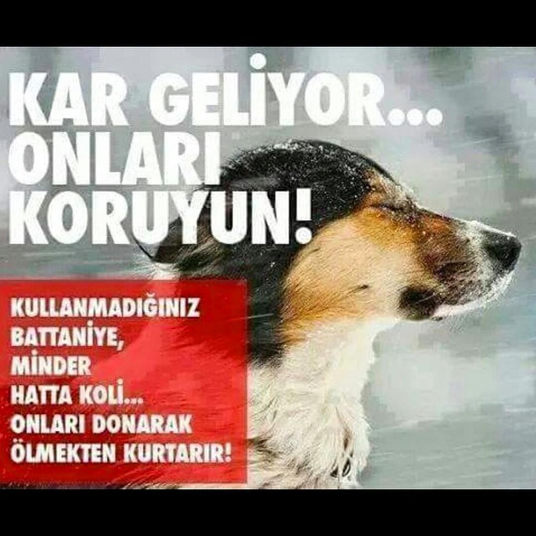 #türkiye #istanbul #kozyatağı #arnavutköy #kadıköy #nişantaşı #üsküdar #şişli #tuzla #izmir #antalya #ankara #adana