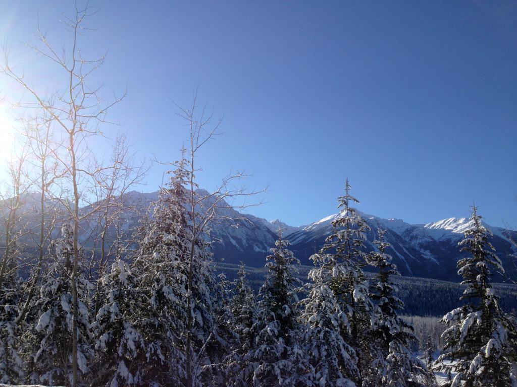 IAmRoyalMusic's tweet photo. Winter Wonderland #roadtrip #familytime #highlightsof2014 #Landscapes #musicheals #love #snow http://t.co/YLJJ55mwGb