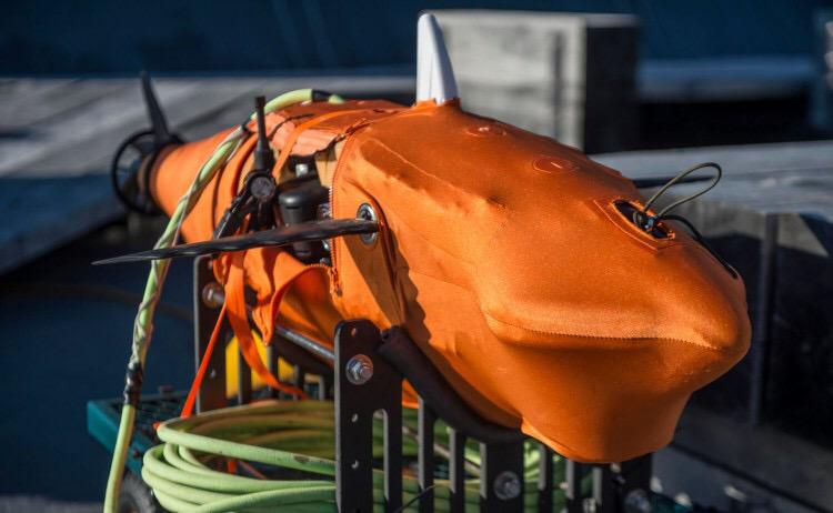 TTalents_com's tweet image. U.S. Navy tests #RobotShark / @USNavy #USNavy / ow.ly/2SH5hW /