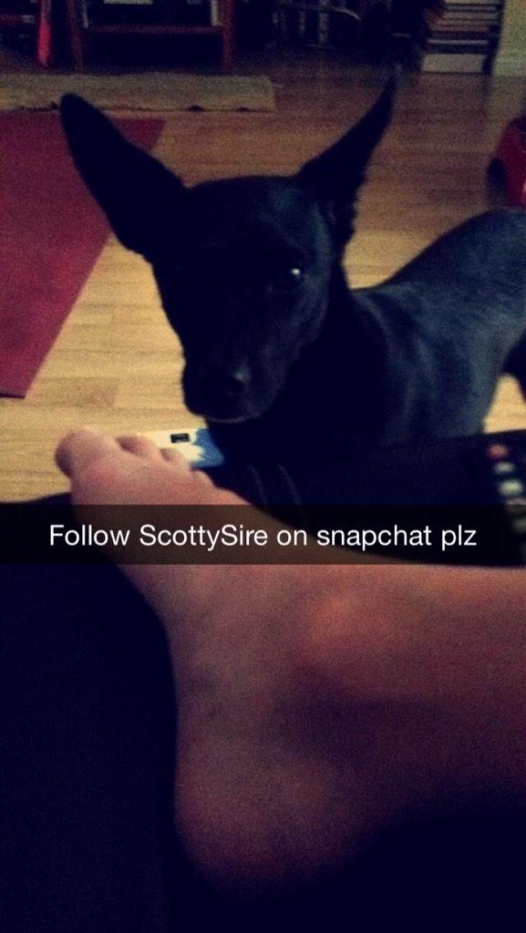 HadleyMeek's tweet photo. @ImNotScottySire here's your shout out☺️ http://t.co/emxutE3Or0