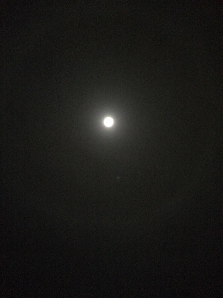 bossmaynelik's tweet photo. I can see your halo 👼 #RipKeke #RIPJustis http://t.co/MC6PTDnBpA