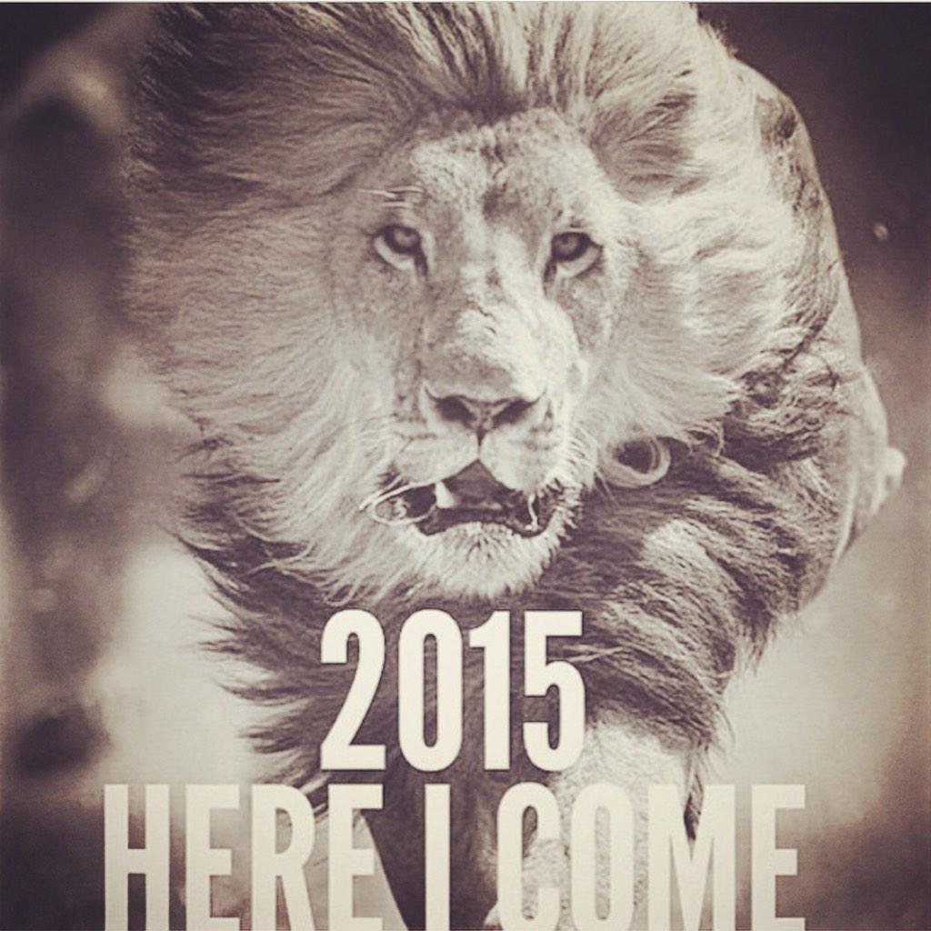 dbushkin's tweet image. Happy 2015! May it be a great year for all. #2015 #Lion #iwantalion