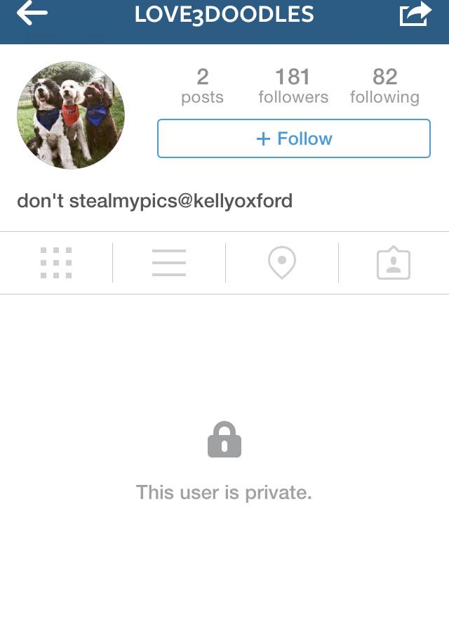 NatalieNFH's tweet photo. Is this real life? @kellyoxford #doodlegate2015 hilarious http://t.co/1N4VzZQIu3