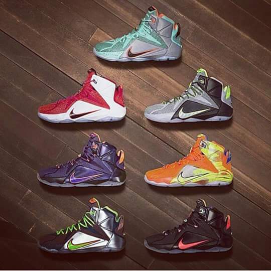 lebron james 12s