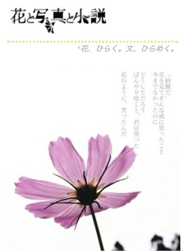 春田モカ 花 写真 小説 企画一斉公開しました Http T Co Rbsgi8rfsk この企画は6人の写真家 32人の携帯小説家で 花に溢れた短編集を完成させる企画です それぞれのお花に添えられたストーリーをお楽しみ下さい Http T Co Cjowgyiwwl 春田モカ 花 写真 小説 企画一斉公開しました Http T Co Rbsgi8rfsk この企画は6人の写真家 32人の携帯小説家で 花に溢れた短編集を完成させる企画です それぞれのお花に添えられたストーリーをお楽しみ下さい Http T Co Cjowgyiwwl