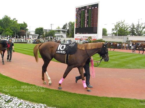 にんじんch 競馬まとめブログ イケドラゴン予後不良か Http T Co 9kwkoglhf1 Keiba 競馬 Http T Co Esza6xlrlq Twitter にんじんch 競馬まとめブログ イケドラゴン予後不良か Http T Co 9kwkoglhf1 Keiba 競馬 Http T Co Esza6xlrlq Twitter