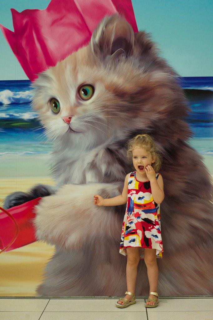 babyrudy's tweet photo. "Where's the cat?" http://t.co/VplXkV320q