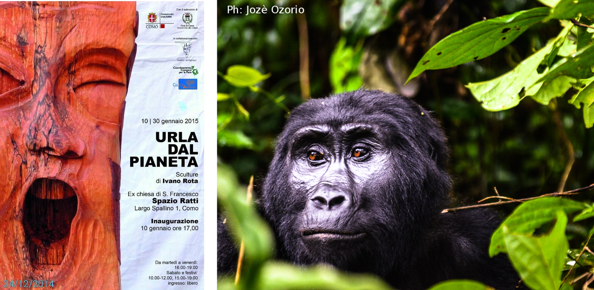 10/01 "Urla dal pianeta": noi presenteremo "Si salvi chi può", omaggio a 100 animali in via d'estinzione. #eventiComo