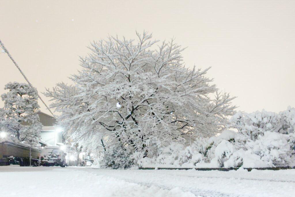 よしやす☞写真 tweet media