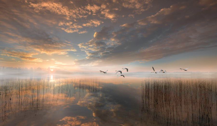 Greg_CEO's tweet image. A New Day.... by Rokovar  via @Gabriele_Corno @GWPStudio