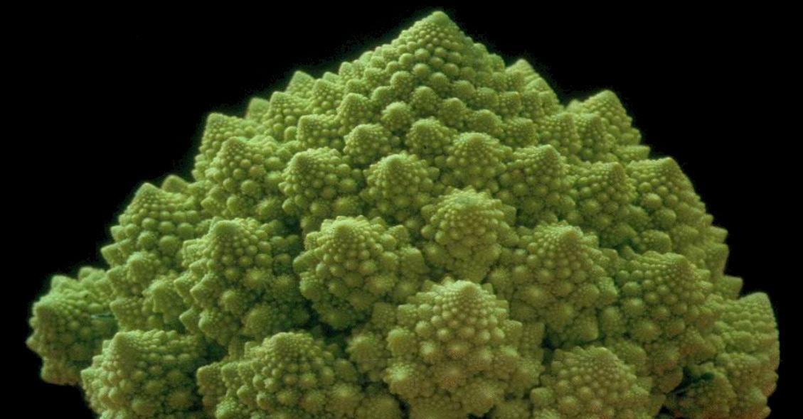 A fascinating talk on fractals -- beautiful branching patterns found in nature: t.ted.com/BZGnDX4