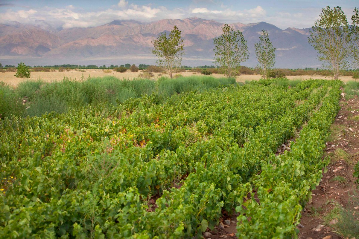 Happy New Year, friends!
Let's raise our wine glass to new beginnings!