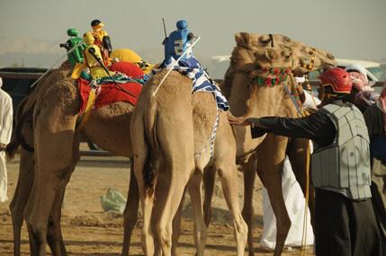 はなもも(hanamomo) on X