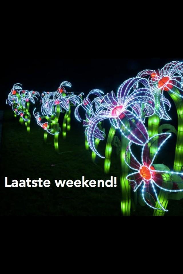 ChinaLightFestival tweet media