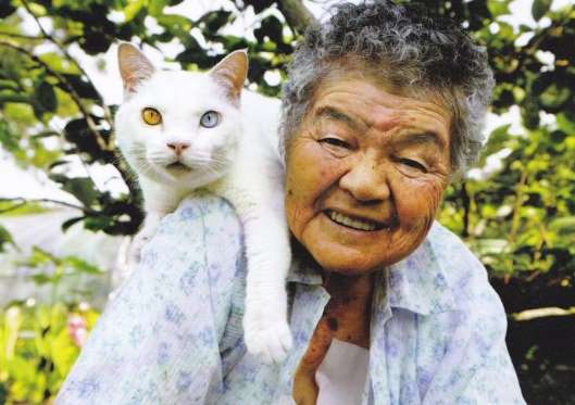 cocinaconkaren's tweet photo. Los gatos más famosos de Internet
http://t.co/1CRdP5VQfJ http://t.co/Re8IffuOub