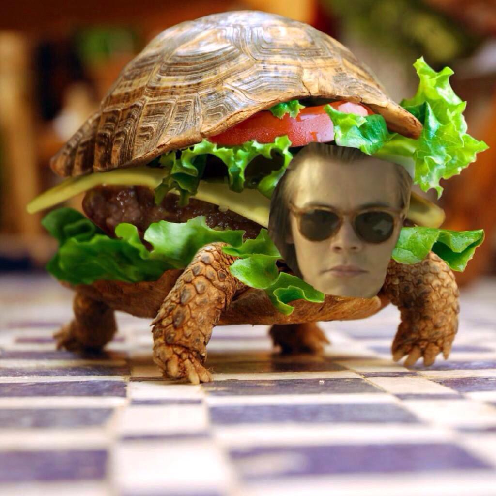 STYLATORARMY tweet picture