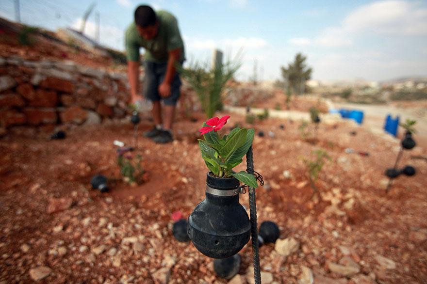 ecorepublicano's tweet photo. Mujer palestina planta flores en granadas de gas lacrimógeno lanzadas por el ejército israelí. http://t.co/L7IZlDBPd7