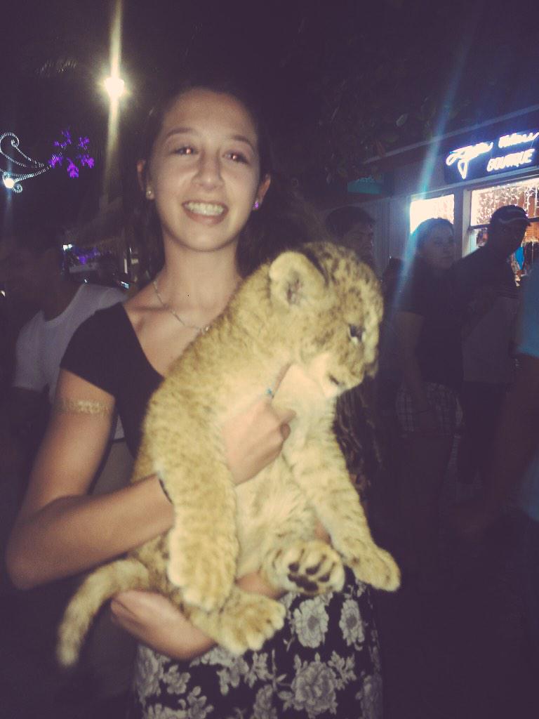 aSAMwich's tweet photo. I held a baby lion..enough said😍 http://t.co/d7aSHJuMEn