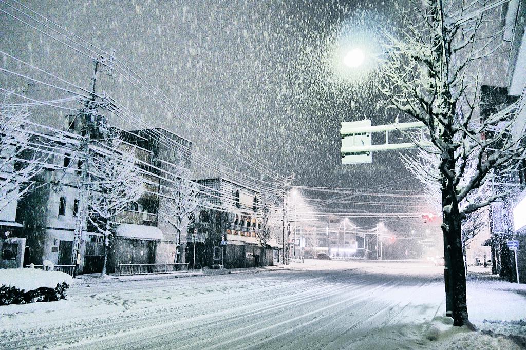 「kyoto snow twitter」の画像検索結果