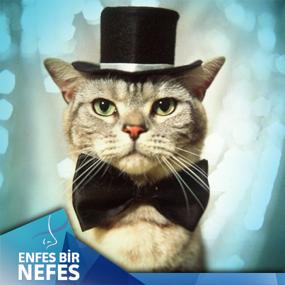 Tüm haftanın yorgunluğunu atacağınız hafta sonu planlarınızı yaptınız mı?