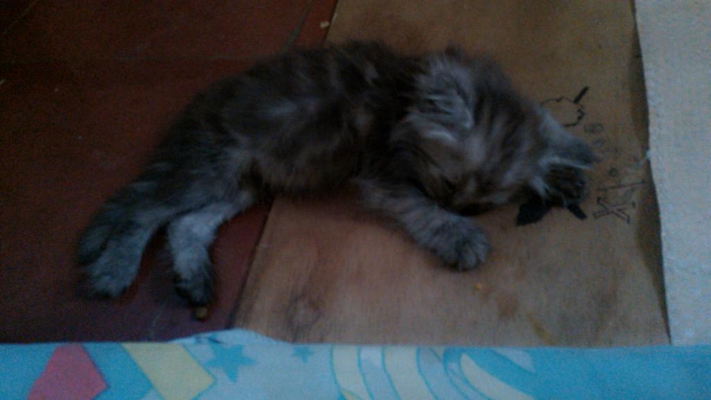 Engkusnadi1's tweet photo. :( http://t.co/eqnjeyS6yw