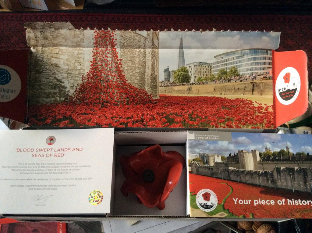 mrsverypicky's tweet photo. Yay! My @TowerPoppies poppy just arrived! So excited!
Managed to sneak through the system @YodelOnline #tomthetracker http://t.co/KlFjeAcoZs
