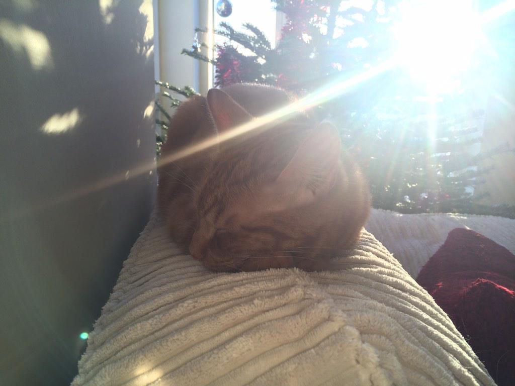 TheBasMuss's tweet photo. Well, that's my first Christmas holidays done! Time to have a little sleep and recover http://t.co/UIGORkOrye