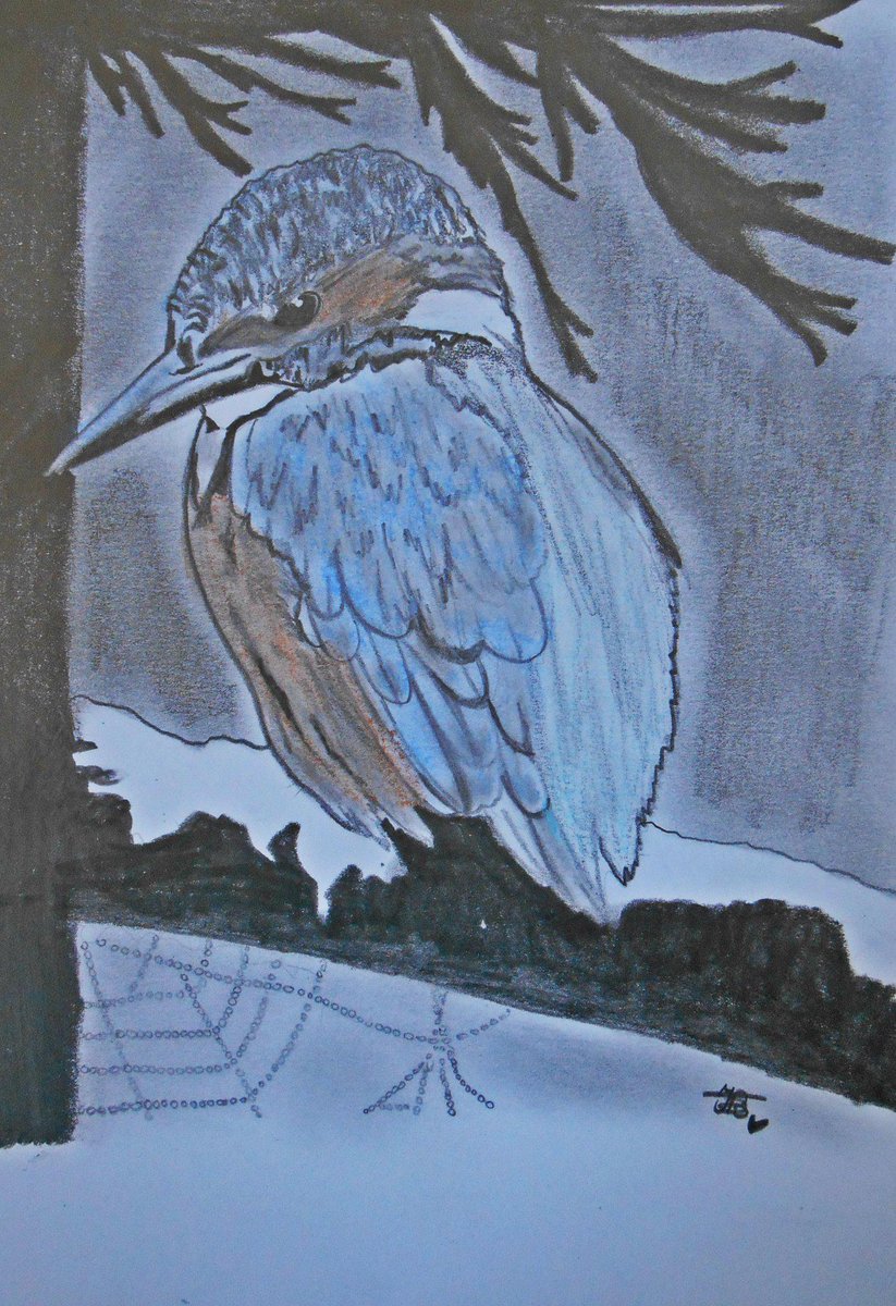 ilses_d's tweet photo. Portrait: Kingfisher
Approx. time: 5 hours
Used materials: 1B, 5B &amp; 8B pencils + pastels http://t.co/JtyMvVMcyh