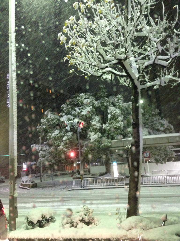 aska_04291118's tweet photo. 京都やべー、、東京には何時に着けるのかしら、、、笑 http://t.co/rv6iJDrTjz